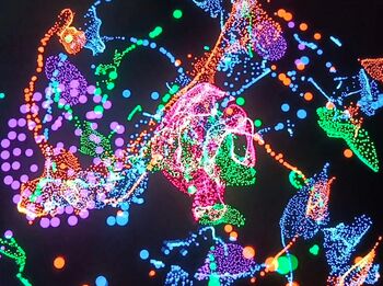 Particle Lenia visualization