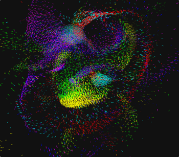 Boids visualization